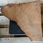 Madrona burl slab, approx. 570 x 540 x 40 mm, 12416
