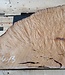 Madrona burl slab, approx. 730 x 500 x 40 mm, 12413