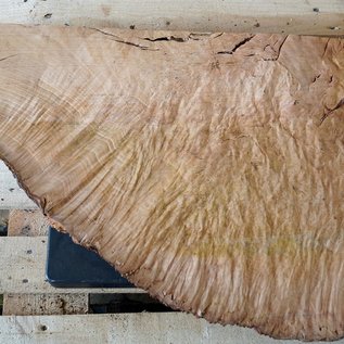 Madrona burl slab, approx. 730 x 500 x 40 mm, 12413