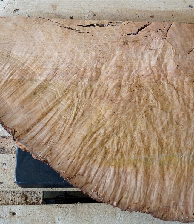 Madrona Maserplatte, ca. 730 x 500 x 40 mm, 12413