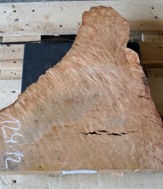 Madrona Maserplatte, ca. 510 x 540 x 40 mm, 12412