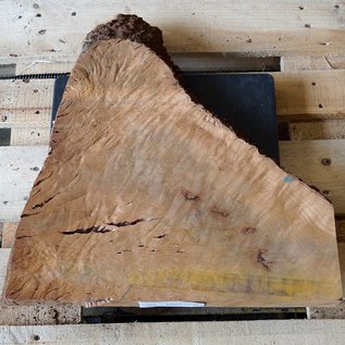 Madrona burl slab, approx. 510 x 540 x 40 mm, 12412