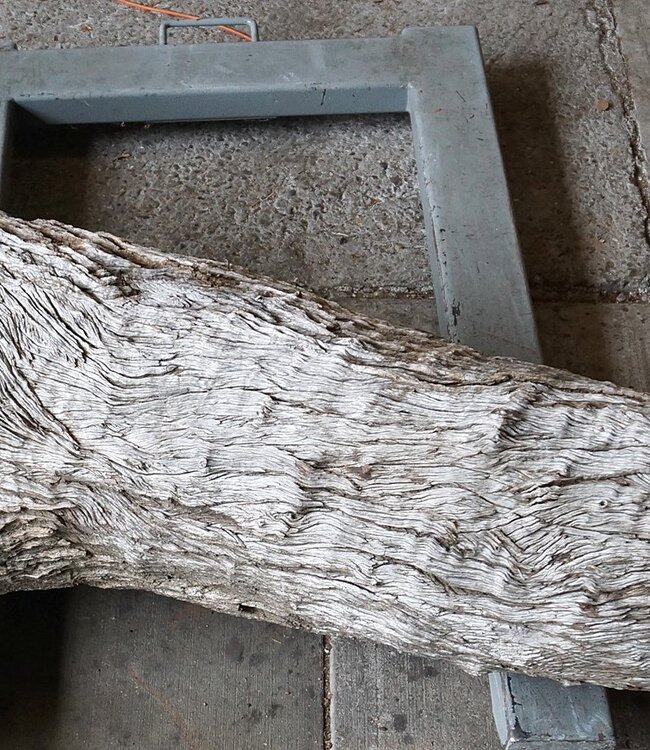 Kameldorn Wurzel - Skulptur, ca. 200 x 58 x 44 cm, 91591