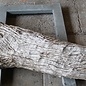 Camel thorn root - sculpture, approx. 200 x 58 x 44 cm, 91591