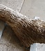 Kameldorn Wurzel - Skulptur, ca. 200 x 58 x 44 cm, 91591