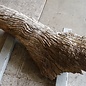Camel thorn root - sculpture, approx. 200 x 58 x 44 cm, 91591