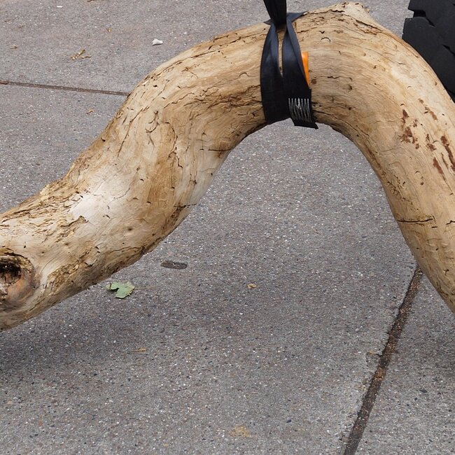 Mopane Wurzel - Skulptur, ca. 200 x 80 x 20 cm, 91592