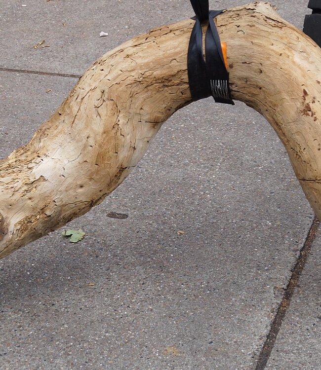 Mopane Wurzel - Skulptur, ca. 200 x 80 x 20 cm, 91592