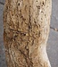 Mopane Wurzel - Skulptur, ca. 200 x 80 x 20 cm, 91592