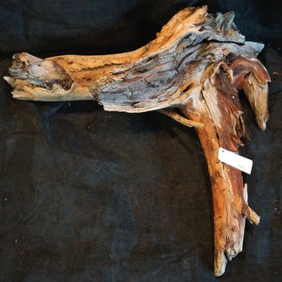 Mopane root - sculpture approx. 75 x 70 x 25 cm, 91611