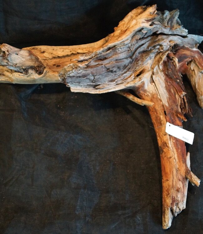 Mopane root - sculpture approx. 75 x 70 x 25 cm, 91611