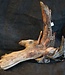 Mopane root - sculpture approx. 75 x 70 x 25 cm, 91611