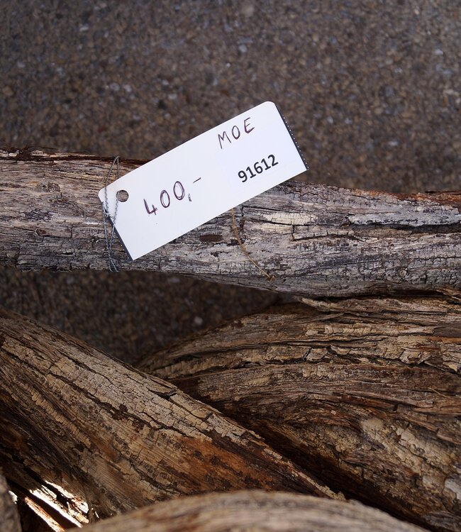 Mopane root - sculpture approx. 150 x 55 x 40 cm, 91612