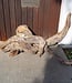 Mopane root - sculpture approx. 150 x 55 x 40 cm, 91612