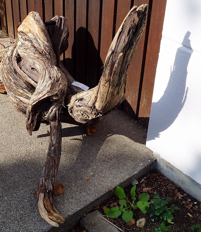Mopane root - sculpture approx. 150 x 55 x 40 cm, 91612
