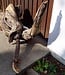 Mopane root - sculpture approx. 150 x 55 x 40 cm, 91612
