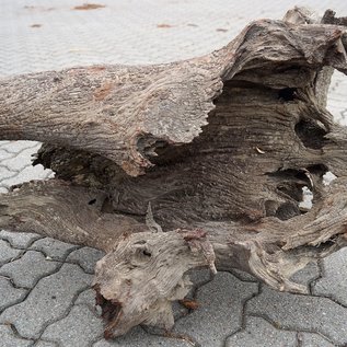 Mopane Wurzel - Skulptur, ca. 184 x 60 x 55 cm, 91616