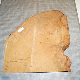 Madrona Burl, approx. 580 x 600 x 52 mm, 11,5 kg
