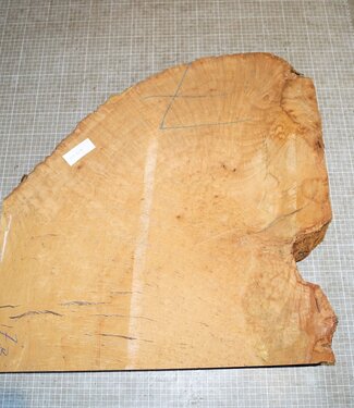 Madrona Maser, ca. 580 x 600 x 52 mm, 11,5 kg