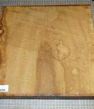 African Birch, approx. 340 x 340 x 52 mm, 6,8 kg