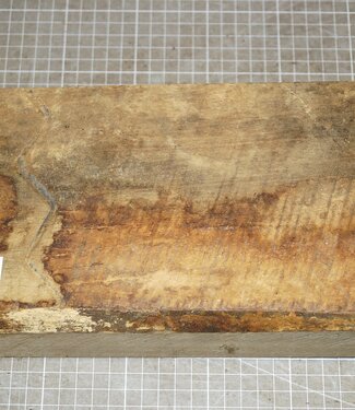 Afrikanische Kernbirke, ca. 300 x 140 x 65 mm, 3,3 kg