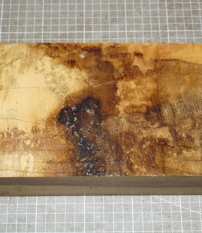 Afrikanische Kernbirke, ca. 300 x 140 x 65 mm, 3,1 kg