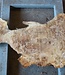 Mappa Burl slab, approx. 1300 x 660/170 x 70 mm, 12397