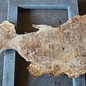 Mappa Burl slab, approx. 1300 x 660/170 x 70 mm, 12397