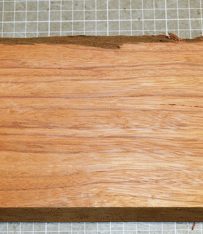 Ebiara, approx. 300 x 140 x 52 mm, 1,6 kg