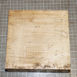 EU Sycamore fiddleback, approx. 155 x 155 x 50 mm, 0,8 kg