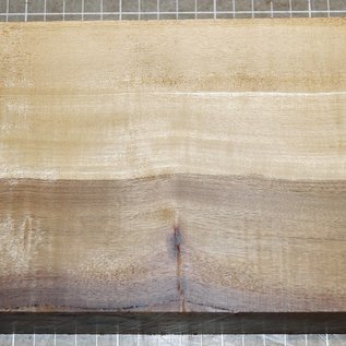 African Birch, approx. 310 x 135 x 52 mm, 2,5 kg