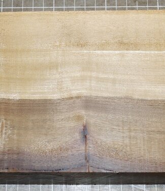 African Birch, approx. 310 x 135 x 52 mm, 2,5 kg