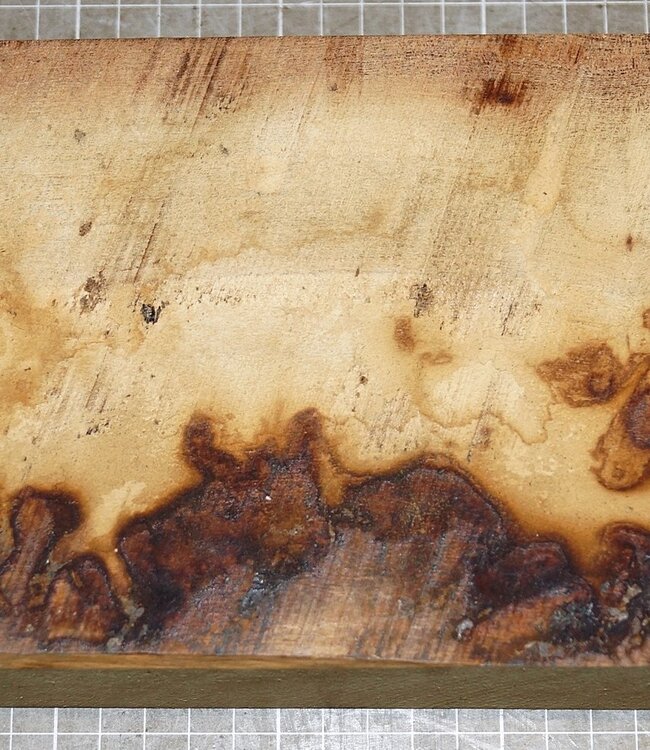 African Birch, approx. 310 x 135 x 52 mm, 2,5 kg