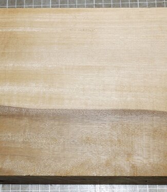 African Birch, approx. 310 x 170 x 52 mm, 2,9 kg
