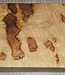 African Birch, approx. 380 x 185 x 53 mm, 4,1 kg