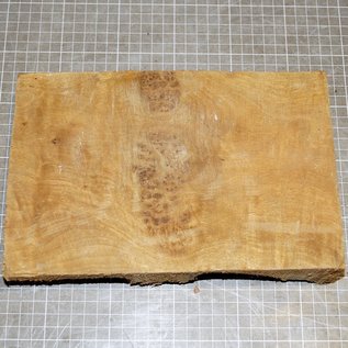 Golden Madrone burl, approx. 245 x 160 x 49 mm, 1,6 kg