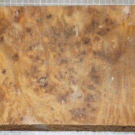 Golden Madrone Maser, ca. 360 x 180 x 46 mm, 2,2 kg