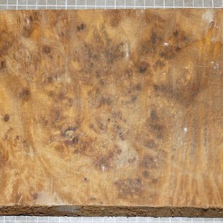 Golden Madrone burl, approx. 360 x 180 x 46 mm, 2,2 kg
