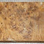 Golden Madrone burl, approx. 360 x 180 x 46 mm, 2,2 kg