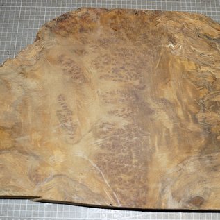 Golden Madrone Maser, ca. 420 x 340 x 49 mm, 4,8 kg