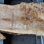 Poplar burl, approx. 1280 x 600 x 52 mm, 12661