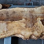 Poplar burl, approx. 1280 x 600 x 52 mm, 12661