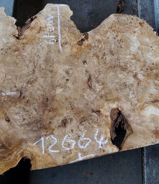 Poplar burl, approx. 960 x 610 x 70 mm, 12664