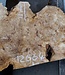 Poplar burl, approx. 960 x 610 x 70 mm, 12664