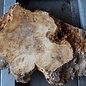 Poplar burl, approx. 960 x 610 x 70 mm, 12664