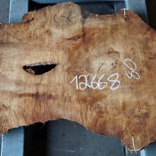 Poplar burl, approx. 990 x 800/640 x 65 mm, 12668