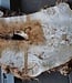 Poplar burl, approx. 990 x 800/640 x 65 mm, 12668