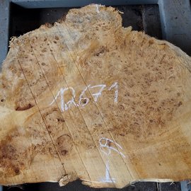 Poplar burl, approx. 760 x 660 x 75 mm, 12671