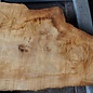 Poplar burl, approx. 1100 x 580/260 x 60 mm, 12672