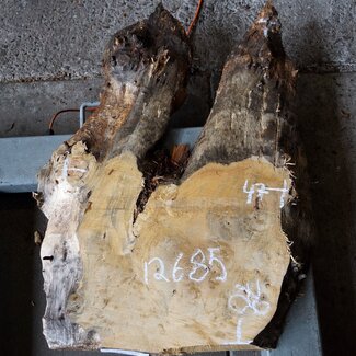 Pappel Maser, ca. 780 x 470 x 52 mm, 12685